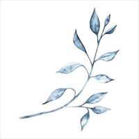blå abstrakt löv vattenfärg illustration. hand dragen botanisk element isolerat på vit bakgrund. indigo blå svartvit grenar ClipArt för textil- mönster, dekorativ blad mönster och kort vektor