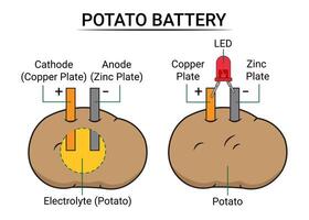 delar av en potatis batteri vektor