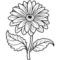 gerbera blomma växt översikt illustration färg bok sida design, gerbera blomma växt svart och vit linje konst teckning färg bok sidor för barn och vuxna vektor