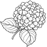 Hortensie Blume Pflanze Gliederung Illustration Färbung Buch Seite Design, Hortensie Blume Pflanze schwarz und Weiß Linie Kunst Zeichnung Färbung Buch Seiten zum Kinder und Erwachsene vektor