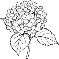 hortensia blomma växt översikt illustration färg bok sida design, hortensia blomma växt svart och vit linje konst teckning färg bok sidor för barn och vuxna vektor