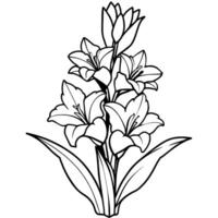 gladiolus blomma växt översikt illustration färg bok sida design, gladiolus blomma växt svart och vit linje konst teckning färg bok sidor för barn och vuxna vektor