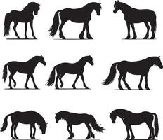 Pferd Silhouette Tier einstellen isoliert auf Weiß Hintergrund. schwarz Pferde Grafik Element Abbildung.hoch Auflösung jpg, eps 10 inbegriffen vektor