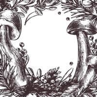 ätlig vild sopp svamp med blåbär och lingon, löv, gran och kottar. grafisk illustration, hand dragen med brun bläck, linje konst. runda ram, krans, mall för text. vektor
