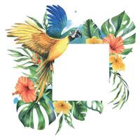 tropisch Palme Blätter, Monstera und Blumen von Plumeria, Hibiskus mit Blau Gelb Ara Papagei. Hand gezeichnet Aquarell botanisch Illustration. Vorlage Rahmen Platz isoliert von das Hintergrund. vektor