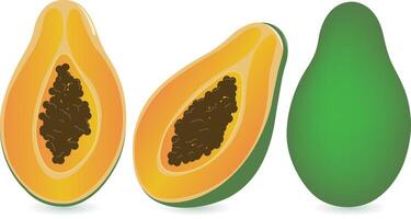 friska exotisk mogen papaya frukt. hela och halv skära papaya tropisk frukt. naturlig organisk papaya frukt. sommar frukt för friska livsstil. vektor