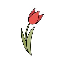 Türkisch rot Tulpe Blume Symbol von Truthahn. traditionell Element von Türkisch Kultur. Karikatur Stil. Hand gezeichnet Gliederung Illustration. vektor