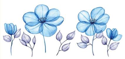 vattenfärg uppsättning av transparent blommor och löv. transparent blå blommor i pastell färger. element isolerat på vit bakgrund. design för bröllop vektor