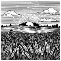 ländlich Landschaft mit Weizen Feld, Sonne, Wiese und Hang. schwarz und Weiß Tinte Illustration im skizzieren Linie Stil vektor