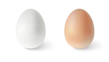 uppsättning av realistisk kyckling ägg. illustration isolerat på vit bakgrund vektor