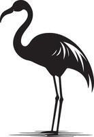 Flamingo Silhouette Illustration Weiß Hintergrund vektor
