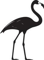 Flamingo Silhouette Illustration Weiß Hintergrund vektor