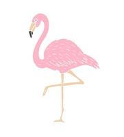 rosa hand dragen skiss klotter flamingo vektor