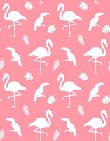 sömlös mönster av flamingo och toucan silhuett vektor