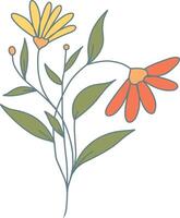 Hand gezeichnet Blumen- botanisch Ast. isoliert auf Weiß Hintergrund. isoliert Element vektor