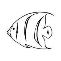 Fisch Gliederung Design zum Färbung Buch. Marine Leben Tier Illustration vektor