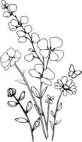 daisy ljuv ärta april födelse blomma, ljuv ärta, och daisy teckning, april blommor konst skriva ut av ljuv ärta och daisy minimalistisk ljuv ärta och daisy tatuering vektor