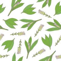 botanisch nahtlos Muster mit Grün Kurkuma Blätter und Blütenstände Hand gezeichnet auf Weiß Hintergrund. Hintergrund mit Herrlich medizinisch blühen Pflanze. bunt natürlich Illustration. vektor
