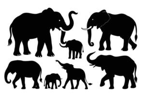 Silhouetten von Elefanten Sammlung vektor