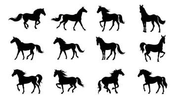 silhouette der pferdeillustration vektor
