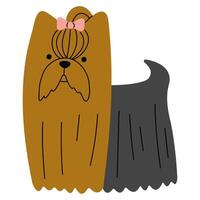 yorkshire terrier söt på en vit bakgrund, illustration. vektor