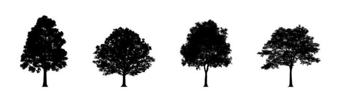 träd silhuetter. träd ikoner. annorlunda träd vektorer