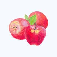 süß Aquarell Obst Clip Art - - herunterladen köstlich Sommer- Essen vektor
