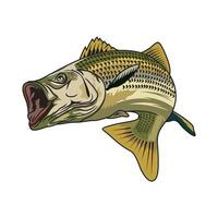 randig bas fiske illustration logotyp bild t skjorta vektor
