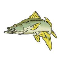 snook fiske illustration logotyp bild t skjorta vektor