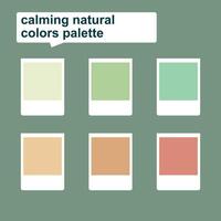 beruhigend natürlich Farben. Kombination von natürlich Landschaft im Sommer. Sommer- im ein Sammlung von Farbe Paletten. erfrischend Erde Töne Salbei, Beige, und Grün Pastell- Farbe vektor