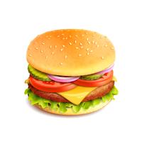 Hamburger Realistiska Isolerade vektor