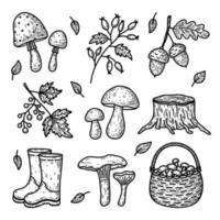 Doodle-Set von Herbstelementen - Waldpilze, Beerenzweige, Eicheln, Gummistiefel und andere. von Hand gezeichnete Vektorgrafik isoliert auf weißem Hintergrund. perfekt für karten, logo, dekorationen. vektor