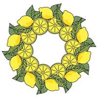 dekorativ krans av skivor av citroner och hela frukter med löv, gröna blad och gul citrus i en rund mandala vektor