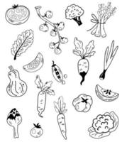 vegetabiliska element doodle linjeuppsättning. lök, tomater, kronärtskocka, rädisa, ärtor, blomkål och pumpa. jordbruk, naturlig mat, jordbruk. kontur bläck stil skiss. tecknad vektorillustration. vektor