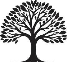 Sylvan Pracht Baum ikonisch Bild ewig Wachstum Baum Symbol vektor