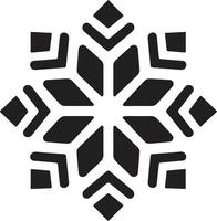 Schneeflocken Glanz ikonisch Emblem Design eisig Verzauberung Logo Design vektor