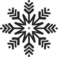 kristallin elegans upplyst logotyp design snöflingor strålglans avtäckt ikoniska emblem ikon vektor