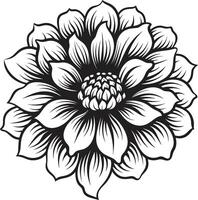 svartvit blomma elegans eleganta logotyp konst enda blomma minimalism ikon grafisk vektor