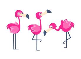 rosa flamingo karaktär i annorlunda poser i söt tecknad serie stil. vektor