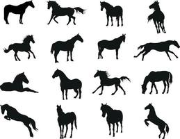 eine Vektorsammlung von Pferdesilhouetten für Bildkompositionen vektor