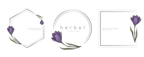 botanisk linje konst illustration uppsättning av krokus blomma ramar mallar för bröllop inbjudan och kort, logotyp design, webb, social media och posters mall. elegant minimal stil blommig isolera vektor