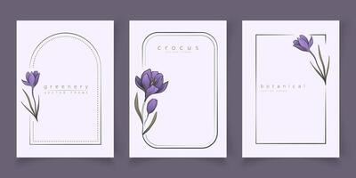 botanisk linje konst illustration uppsättning av krokus blomma ramar mallar för bröllop inbjudan och kort, logotyp design, webb, social media och posters mall. elegant minimal stil blommig isolera vektor