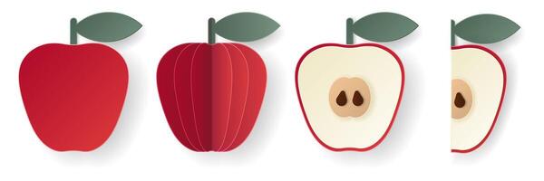 uppsättning av 3d papperssår äpple skivad Skära ut pome frukt. sommar skiktad frukter. saftig mat element för restaurang, mat, drycker, barer, recept, sommar, sötsaker, vegan, social media, presentation design. vektor