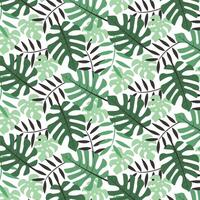 tropisk löv sömlös mönster. grön abstrakt djungel löv upprepa på vit. sommar bakgrund design för skriva ut, dekor, tyg, kort. vektor