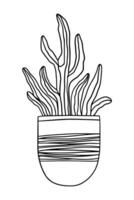 Innen- eingetopft Kaktus Pflanze Zeichnung. süß saftig zum Haus Garten. Färbung Seite Gliederung Illustration isoliert. Gekritzel Kakteen Pflanze Design Element vektor