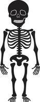 lächelnd Skelett- Freund schwarz zauberhaft Knochen Formation süß vektor
