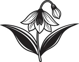 Schneeglöckchen Blume. Hand gezeichnet Illustration isoliert auf Weiß Hintergrund. vektor