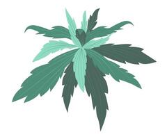 abstrakt Grün Blätter Busch im eben Design. einfach tropisch Wald Strauch. Illustration isoliert. vektor