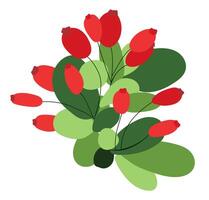 berberis gren med löv i platt design. röd bär på grön kvist. illustration isolerat. vektor