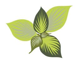 tropisch Blätter mit Streifen Muster im eben Design. Grün Laub Busch. Illustration isoliert. vektor